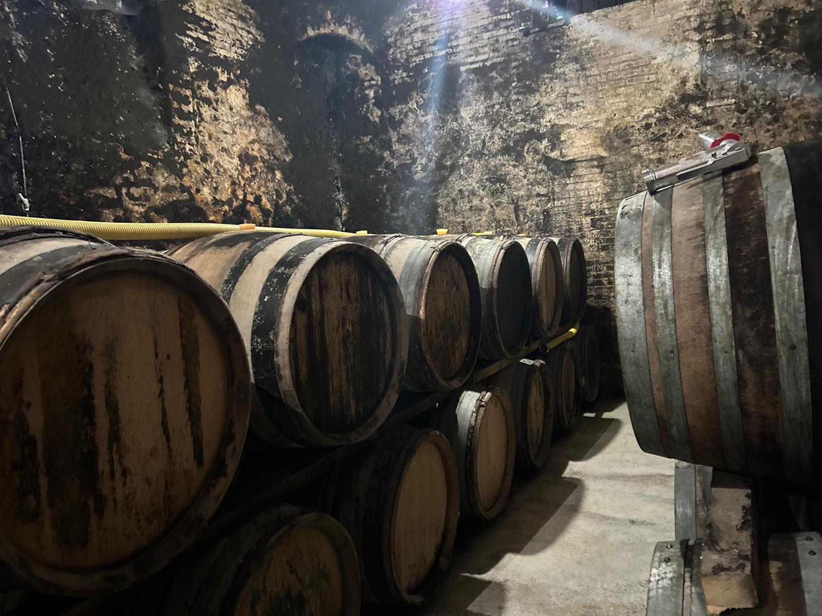 Champagne barrels line the deep, cool cellars of Charles Fourny