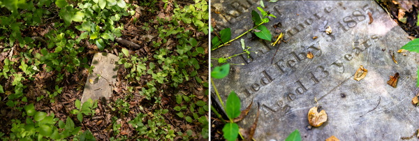 Grave markers for Black youth that died while being held at the House of Reformation and Instruction for Colored Children that operated from 1870 to 1937 in Cheltenham, Md. The graves are located in a wooded area adjacent to the Maryland Veterans Cemetery.