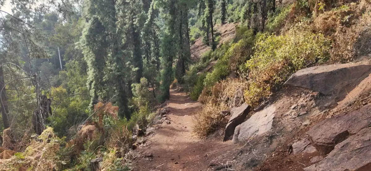 The hills above Santiago, Chile, offer a bit of wildness in the midst of a bustling capital city.