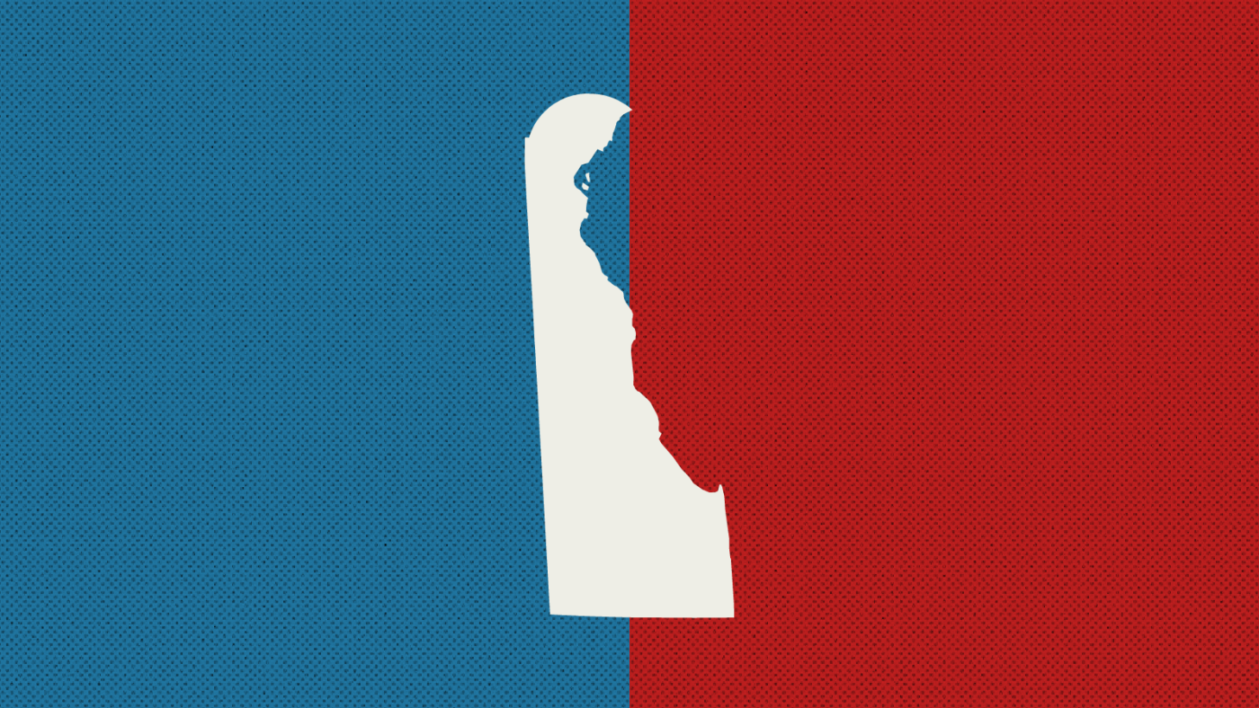 Delaware Primary Election Results 2024: Senate And House Races
