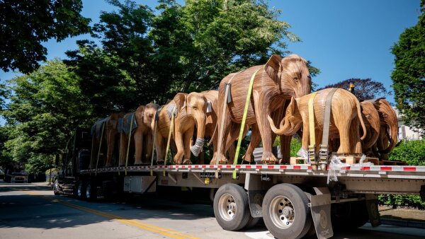 100 life-size elephant sculptures made by artisans in Tamil Nadu, India, arrive in Newport, R.I., via the Port of New York.