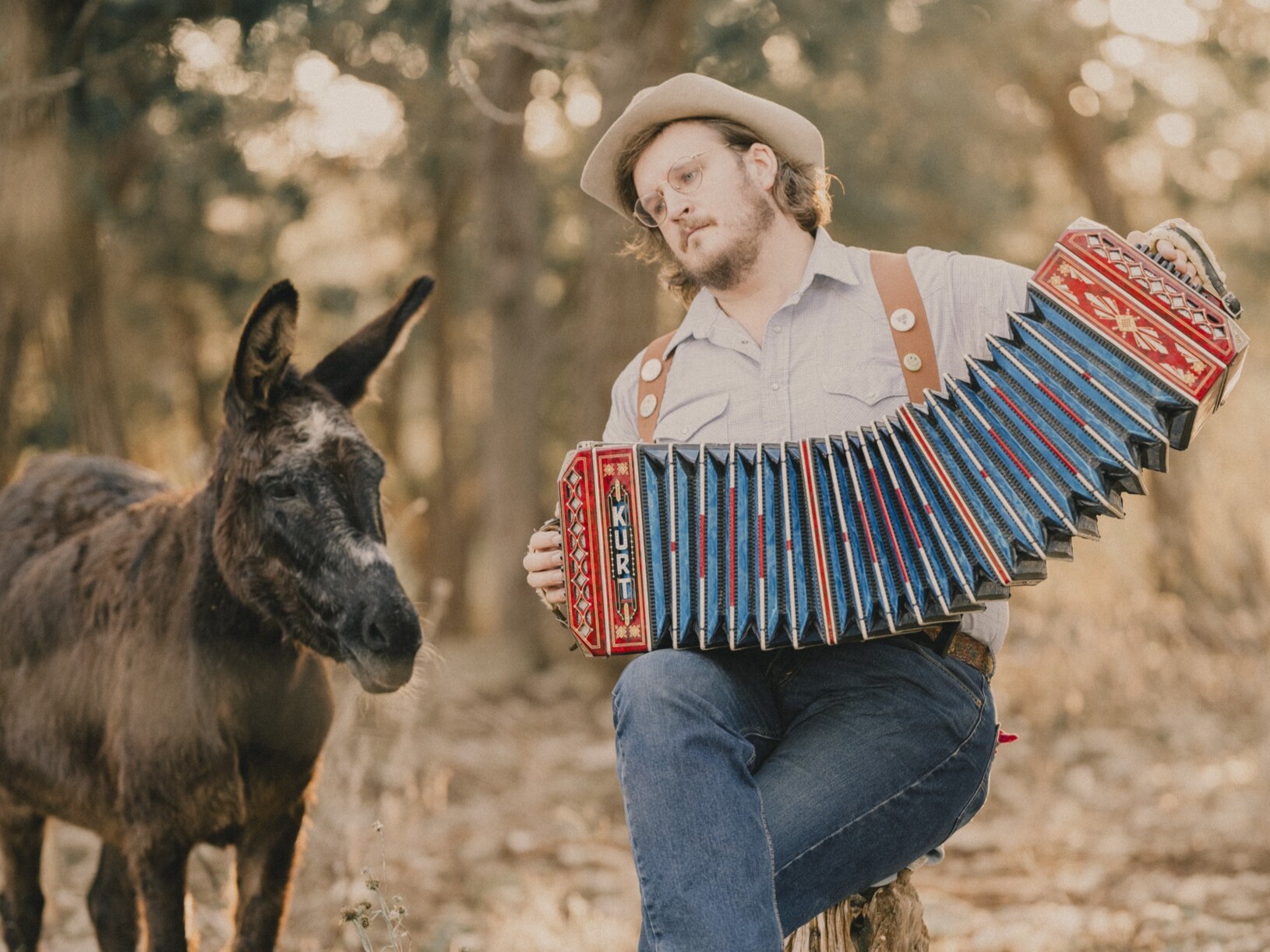 Willi Carlisle blends the absurd and the sentimental on 'Winged Victory ...