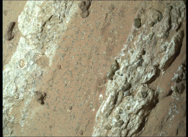 NASA's Perseverance Mars rover captured this image of a rocky area nicknamed "Cheyava Falls" on July 18, 2024, showing black "poppy seed" and larger "leopard spot" features. Researchers say a sample from the site reveals a tantalizing mix of details suggesting the potential presence of life, billions of years ago. NASA's Perseverance Mars rover captured this image of a rocky area nicknamed "Cheyava Falls" on July 18, 2024, showing black "poppy seed" and larger "leopard spot" features. Researchers say a sample from the site reveals a tantalizing mix of details suggesting the potential presence of life, billions of years ago.