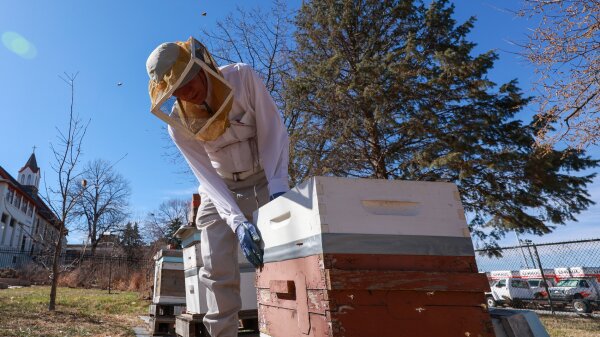 Beekeeper Mark Welsch checks on his bee hives in a community garden in Omaha, Neb. 