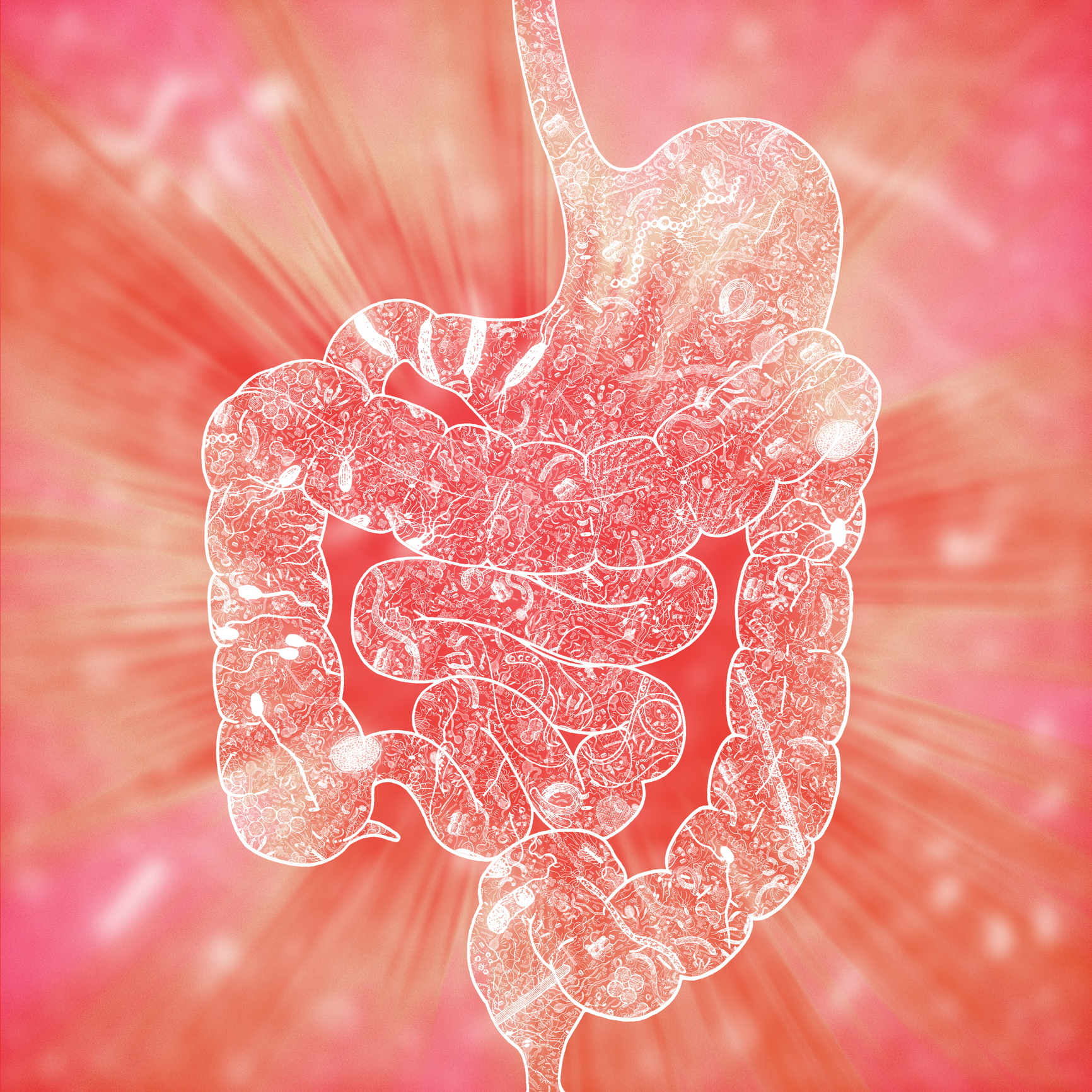 Human intestinal biomes, illustration
