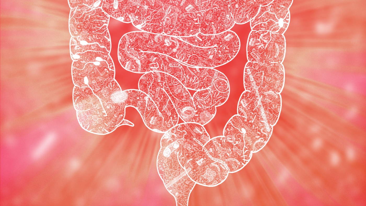 New Study Shows Link Between Gut Microbiome and Stress Response: Shots New Study Shows Link Between Gut Microbiome and Stress Response: Shots