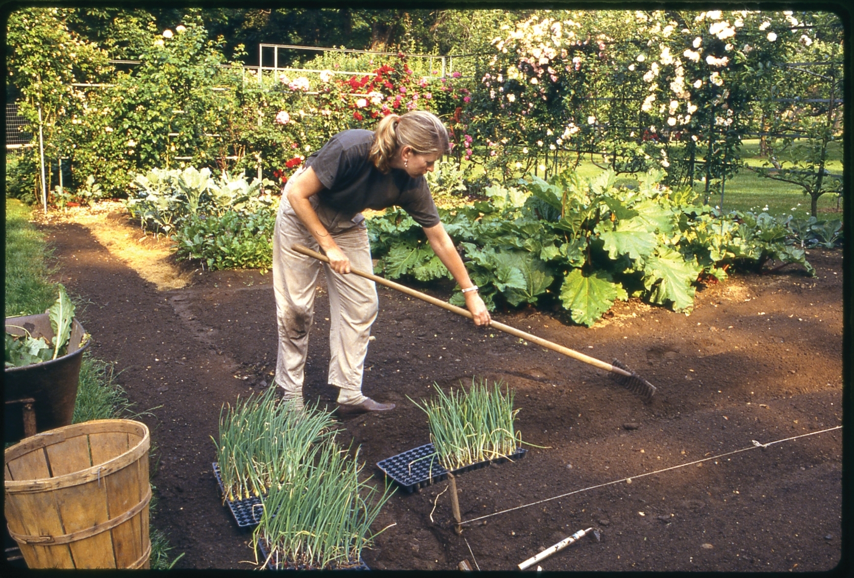 Martha Stewart working the soil at her Turkey Hill garden in circa 1988 in Westport, Conn.