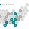 Map showing states that successfully pursued mid-cycle redistricting efforts