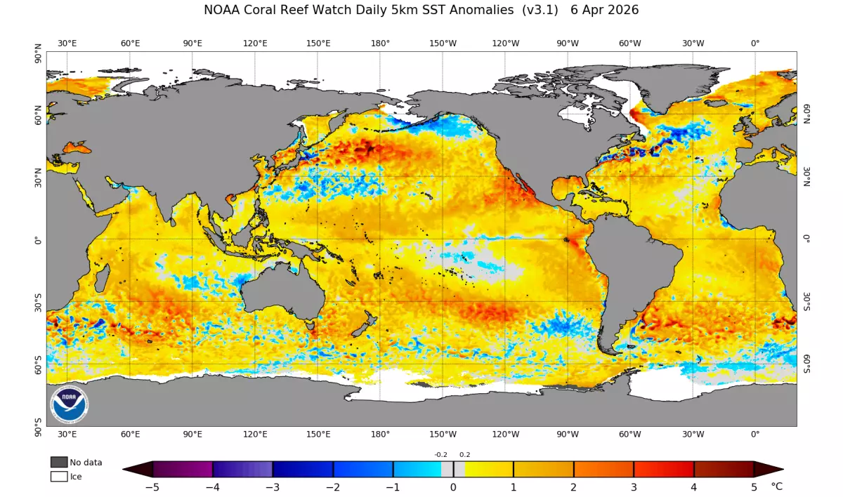 World sea surface temperature anomaly map.