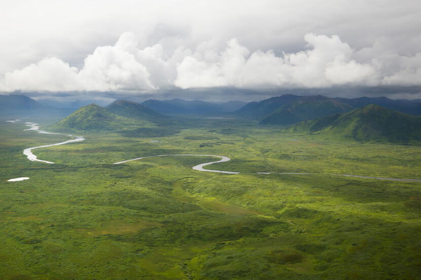 The Karluk River, home to the crashing Karluk king run. This run has sustained the Alutiiq people for thousands of years.