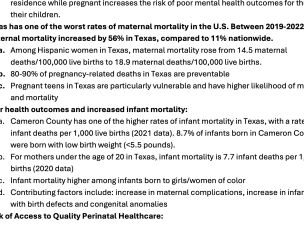 An excerpt from a July 18, 2025, email from ORR's acting health director to Melissa Johnston, the agency's head of operations, warning about the dangers of detaining pregnant children in South Texas.