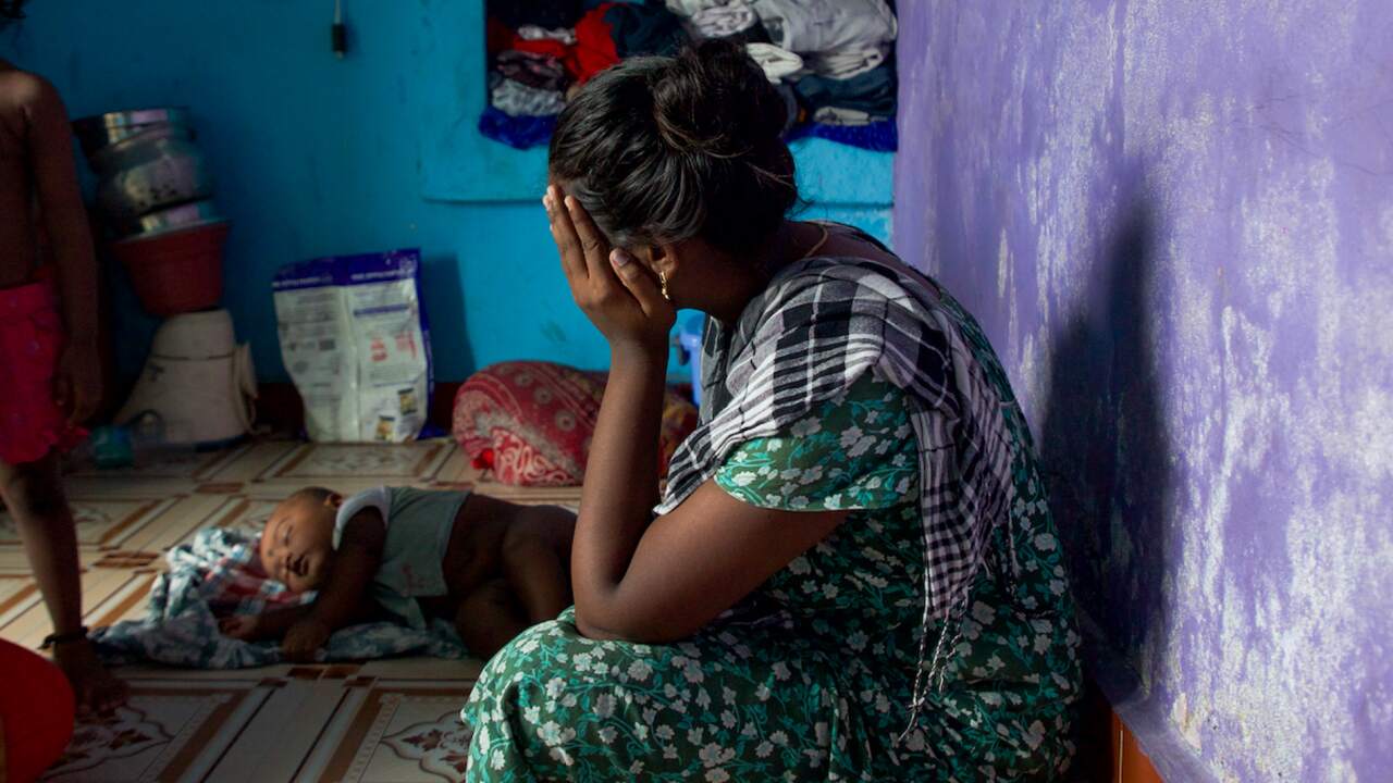 The Human Egg Sellers podcast