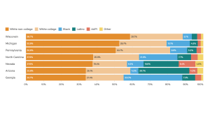 Bar chart of the shape of the electorate in seven key states. 
