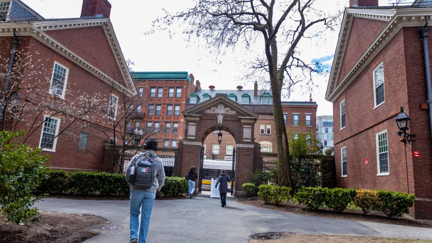 Court hearing in Harvard’s lawsuit against Trump : NPR
