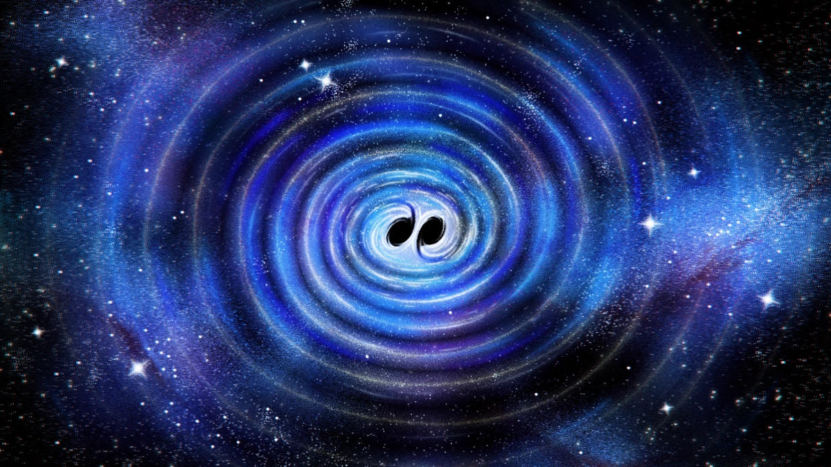 When two black holes merge, they release gravitational waves. These waves can be picked up by detectors on Earth, allowing scientists to better understand them.