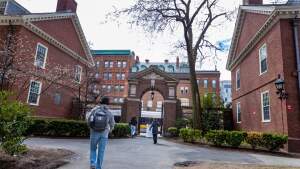 Students walk through Harvard Yard.