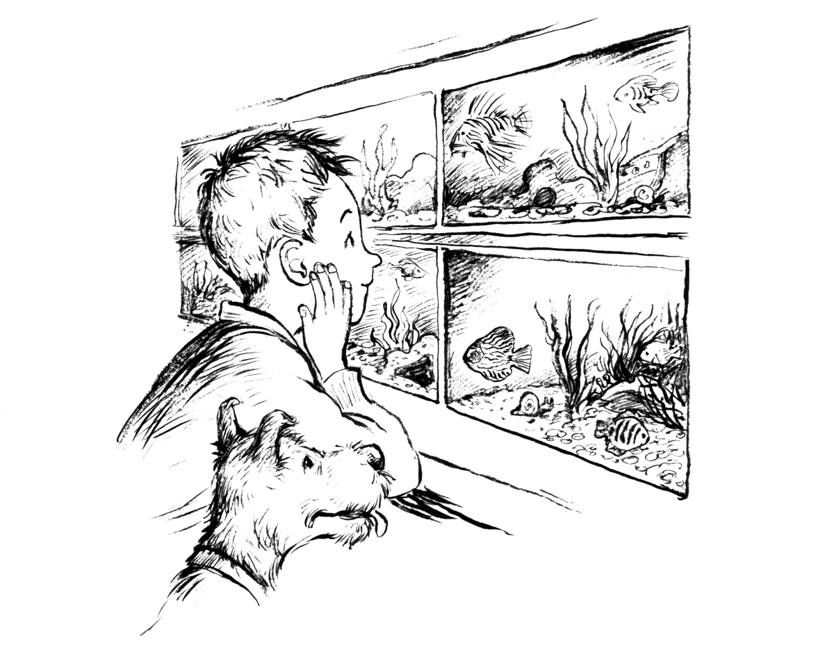 An illustration from Jacqueline Rogers' that appears in later versions of Henry Huggins.