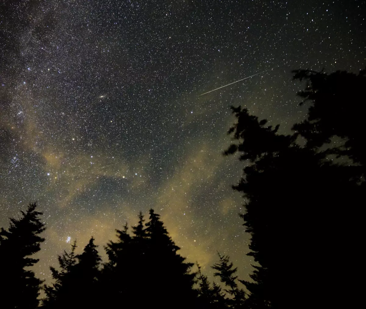 A meteor streaks across the sky during the 2021 Perseid meteor shower.