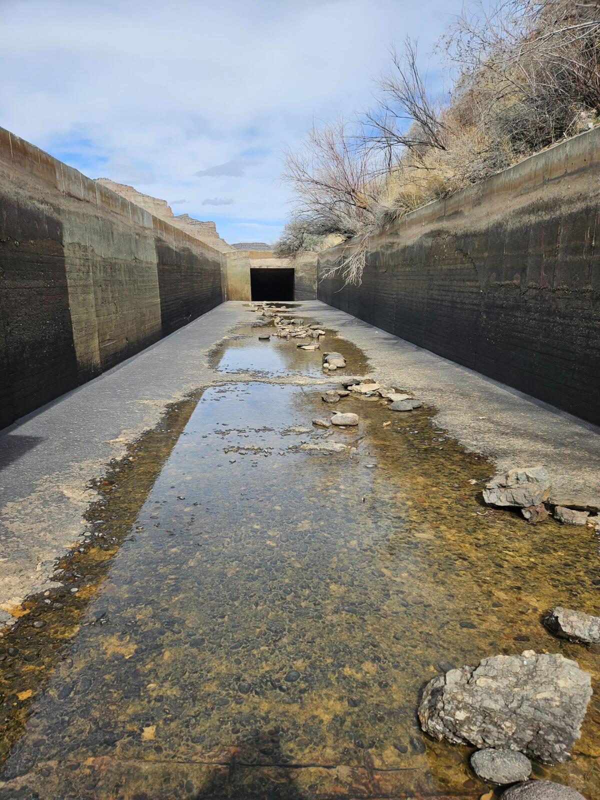 Water from the Colorado River is brought to orchards in Palisade via a diversion system. Zebra mussel larvae have been detected in some parts of the irrigation system in the Grand Valley. Water suppliers have been starting preventative treatments in the area.