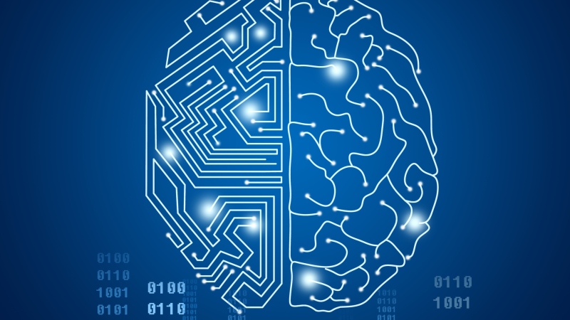 This image shows a schematic of a human brain from above. The left side has lines that look like those on a circuit board. The right side has curving lines resembling the folds of a brain. The lines are white, and the image is against a blue background.