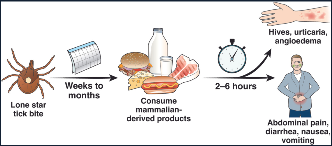 American Gastroenterological Association alpha-gal