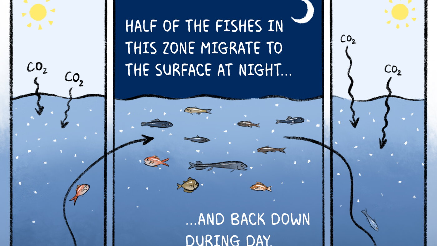Ocean Confusing Why researchers are racing to study the world's ocean : NPR