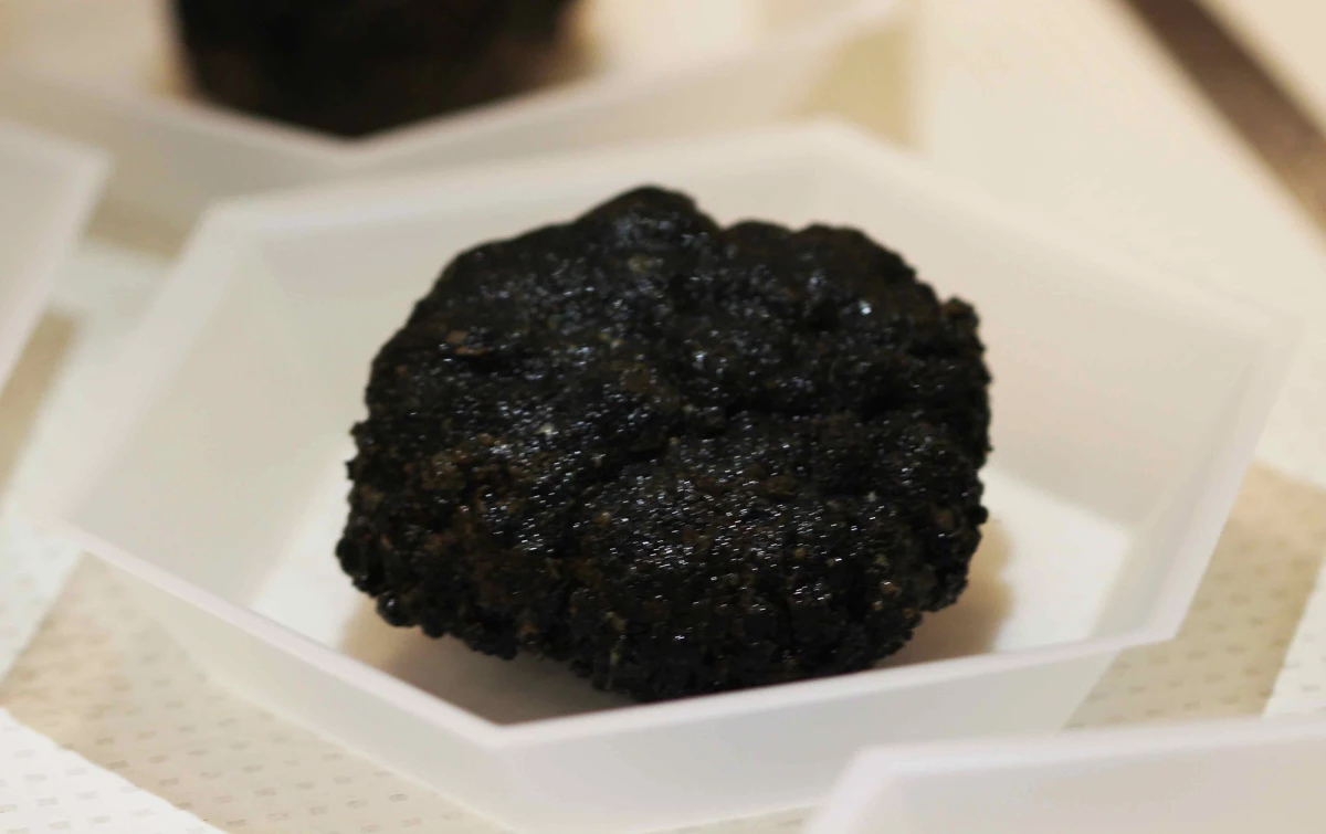 Polymetallic nodules, like this manganese nodule, form over millions of years as minerals in the seawater accrete around bits of organic matter.