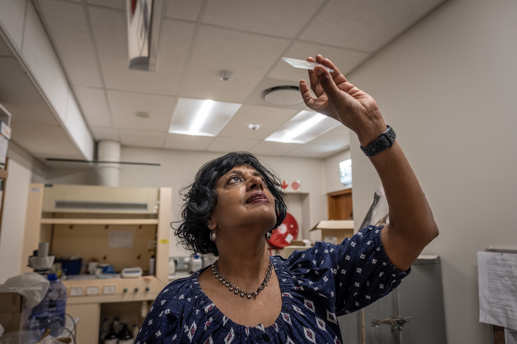 By looking at thin slices of crocodile bones, University of Cape Town paleobiologist Anusuya Chinsamy-Turan has concluded that researchers may have been overestimating some dinosaur ages. "It changes how we think about dinosaur growth," she says.