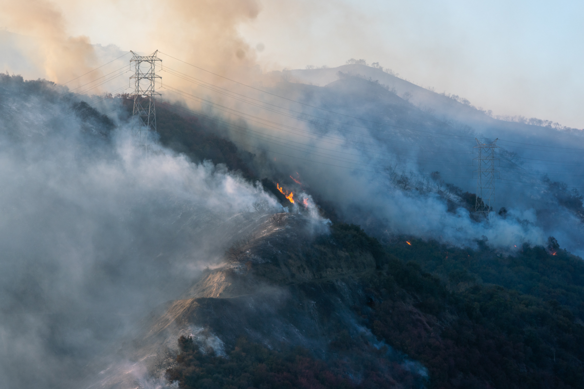 A portion of the Palisades fire burned in the hills of Los Angeles last January. After the  fires, misinformation on social media had an impact on state policy.