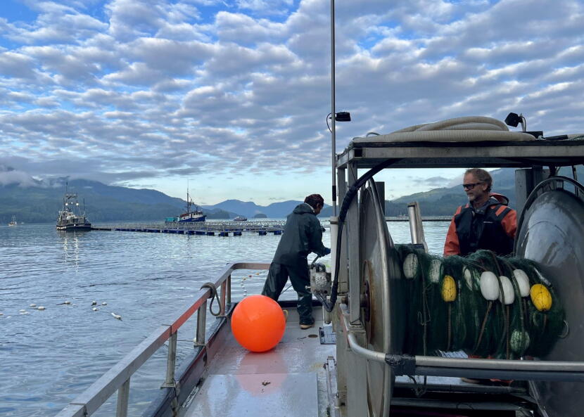 Bob Martin (right) and his deckhand (center) reset the net at Neets Bay on Aug. 8, 2026.