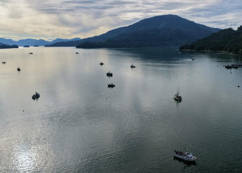 Boats fishing in Neets Bay on Aug. 8, 2026.