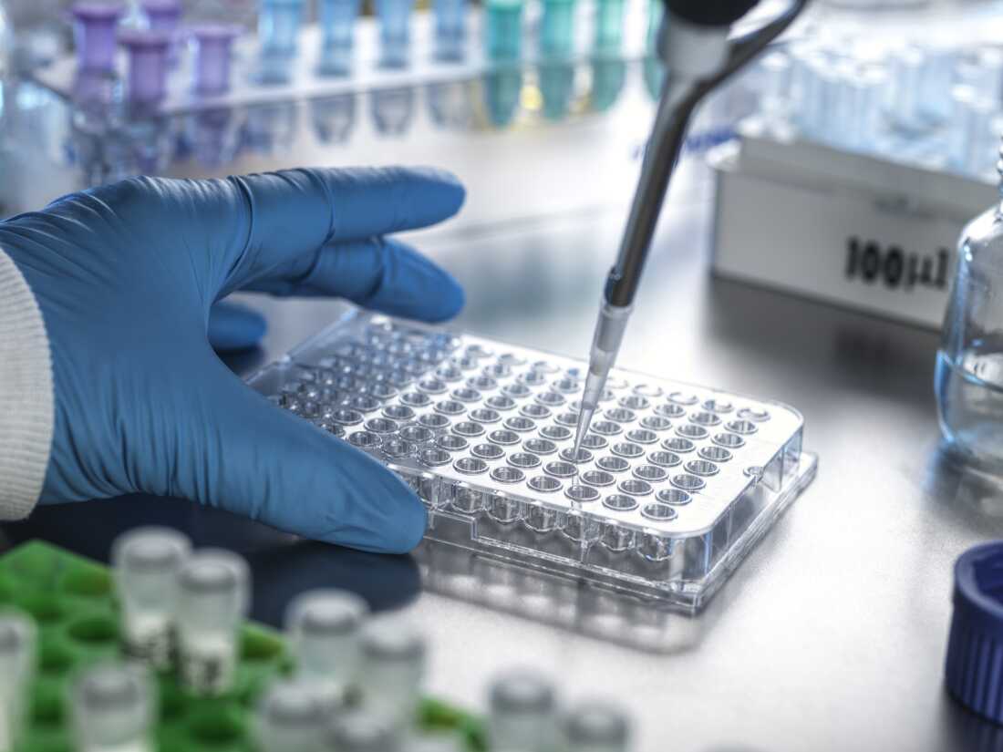 Cancer disparities researchers say federal funding changes have disrupted their work Cancer disparities researchers say federal funding changes have disrupted their work