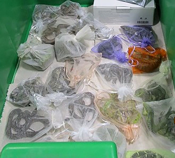 This February 2022 photo provided by the U.S. Customs and Border Protection shows snakes in bags found hidden in a man's clothes by CBP officers at the San Ysidro, Calif., port of entry.