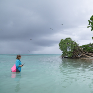 At Palmyra Atoll in the remote Pacific Ocean, wildlife refuge manager Paige Mino observes red-footed boobies. Scientists have found a surprising link between the seabirds and the health of the surrounding ocean.