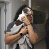 On Jan. 12, the 12th Best Friends Animal Society received cats and dogs from Pasadena Humane. Nina Lewis and Christy Pineda assist Veterinarian Ariana Dubelko run a check-up on a dog. Nina Lewis comforts a newly arrived dog before its medical inspection.