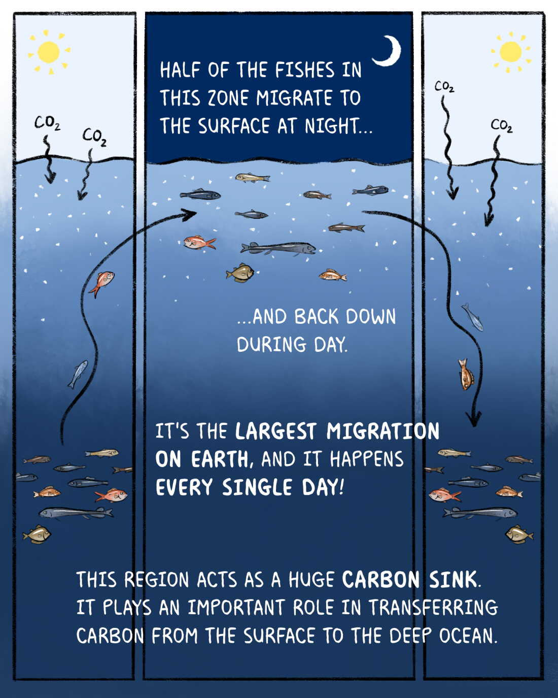 Ocean Going Inwards Why researchers are racing to study the world's ocean : NPR