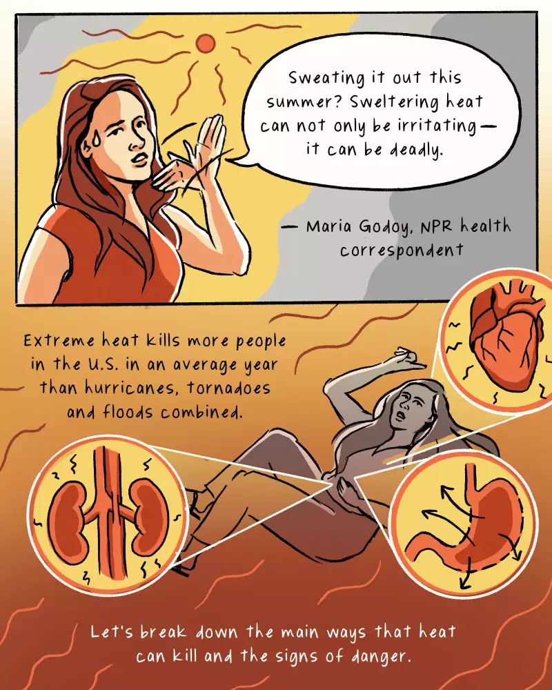 NPR health correspondent Maria Godoy, a woman with long dark hair, fans herself. The sun is out, and she’s sweating a lot. Sweating it out this summer?, she asks. Sweltering heat can not only be irritating — it can be deadly.

Extreme heat kills more people in the U.S. in an average year than hurricanes, tornadoes and floods combined. Let’s break down the main ways that heat can kill and the signs of danger.

Below, Godoy floats in a cloud of suffocating heat. Three arrows point out from her at icons of the stomach, heart and kidneys. 
