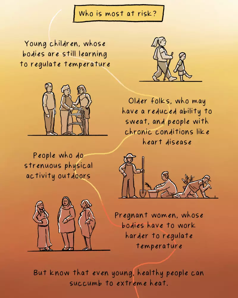 Who is most at risk? Young children, whose bodies are still learning to regulate temperature; older folks, who may have a reduced ability to sweat, and people with chronic conditions like heart disease; people who do strenuous physical activity outdoors; pregnant women, whose bodies have to work harder to regulate temperature. But know that even young, healthy people can succumb to extreme heat.
