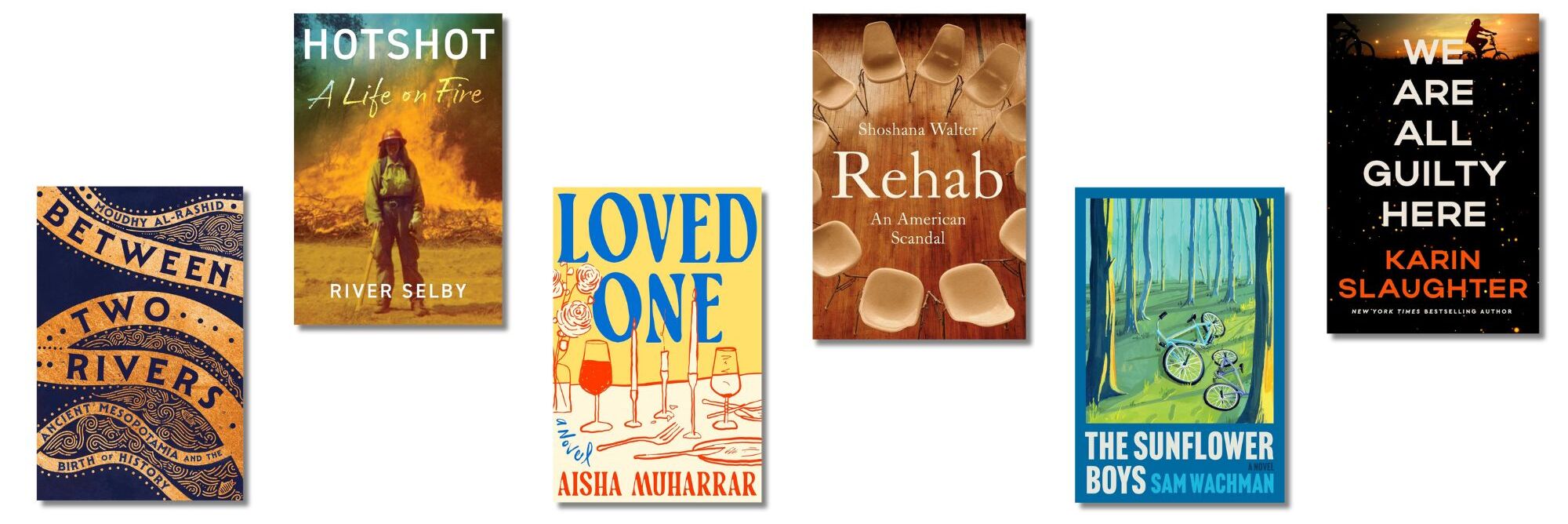 New books this week: investigating rehab, fighting wildfires, and a Slaughter thriller