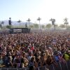 A crowd dances beneath the palm trees at Coachella.