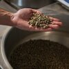 Yerxa houdt groene koffiekranen voordat ze worden geroosterd met verloren branders in Washington, DC.