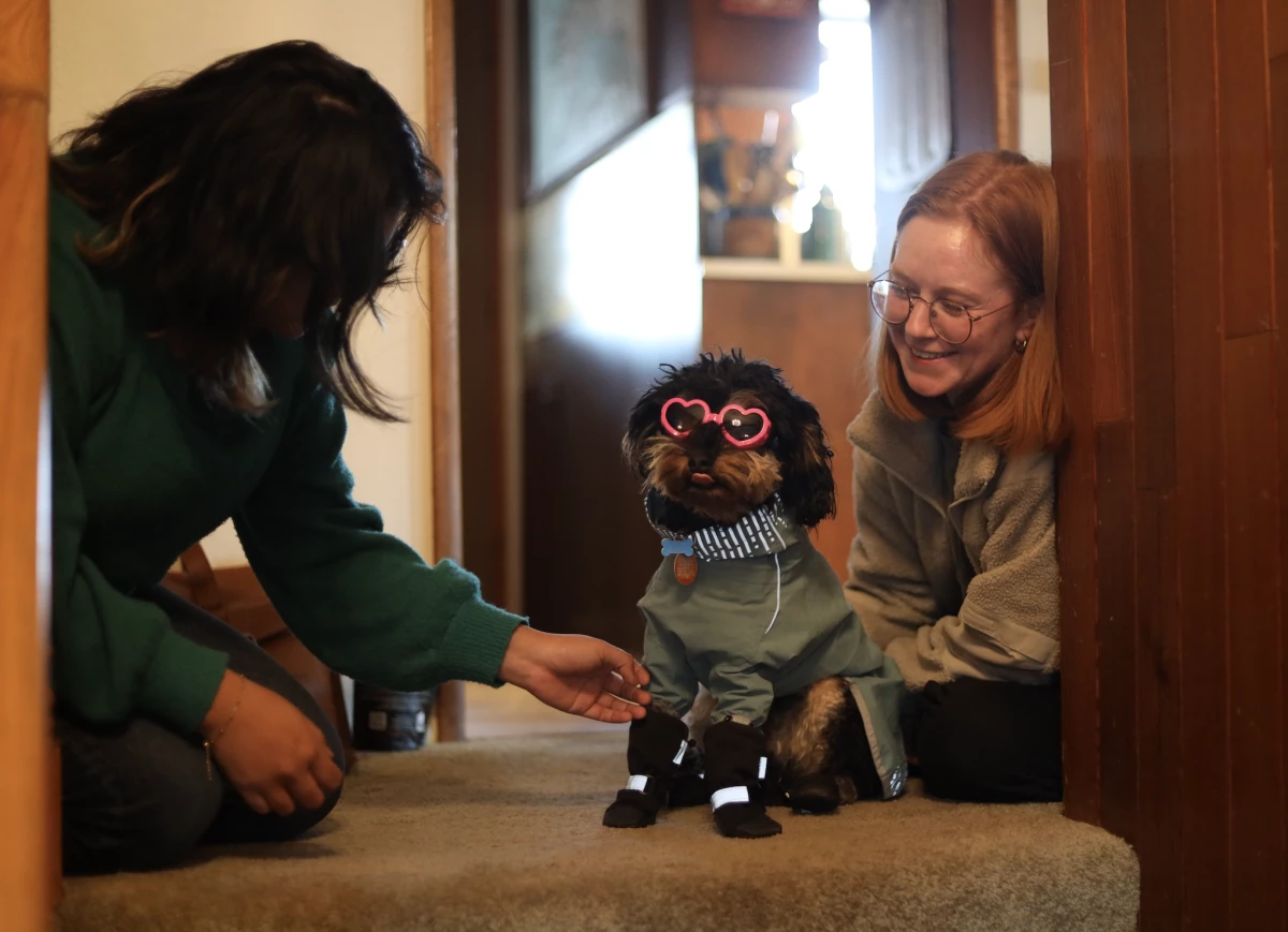 Alliana Salanguit, left, and Jesslin Wooliver, have used ample treats to train their dog, Iroh, to tolerate his mask.