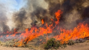 This undated photo provided by the U.S. Forest Service on Friday, Aug. 7, 2026, shows the Widemouth 2 wildfire burning near Richfield, Utah.