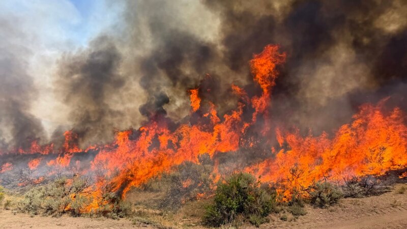 This undated photo provided by the U.S. Forest Service on Friday, Aug. 7, 2026, shows the Widemouth 2 wildfire burning near Richfield, Utah.