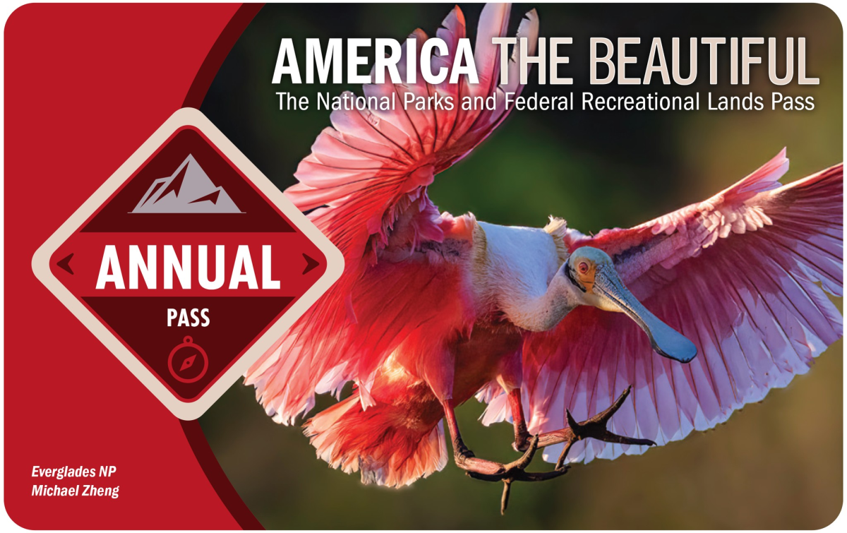 The America the Beautiful National Parks Annual Pass for 2025, showing one of the natural images which used to adorn the pass. Its picture, of a Roseate Spoonbill taken at Everglades National Park, was taken by Michael Zheng.
