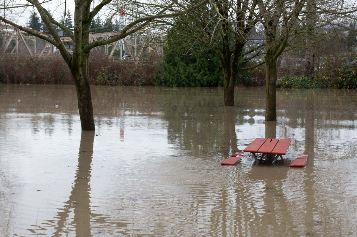 A park in Mount Vernon, Wash., floods as the Skagit River rises on Thursday.