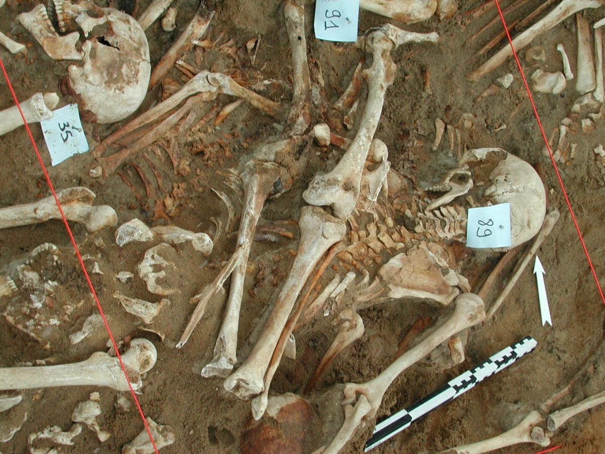 Two-to-three thousand soldiers from Napoleon's army were found in a mass grave in the northern suburbs of Vilnius, Lithuania in 2001.
