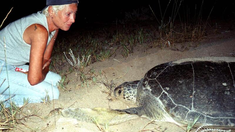 A woman wearing a backward baseball cap kneels and looks at a turtle in the sand.
