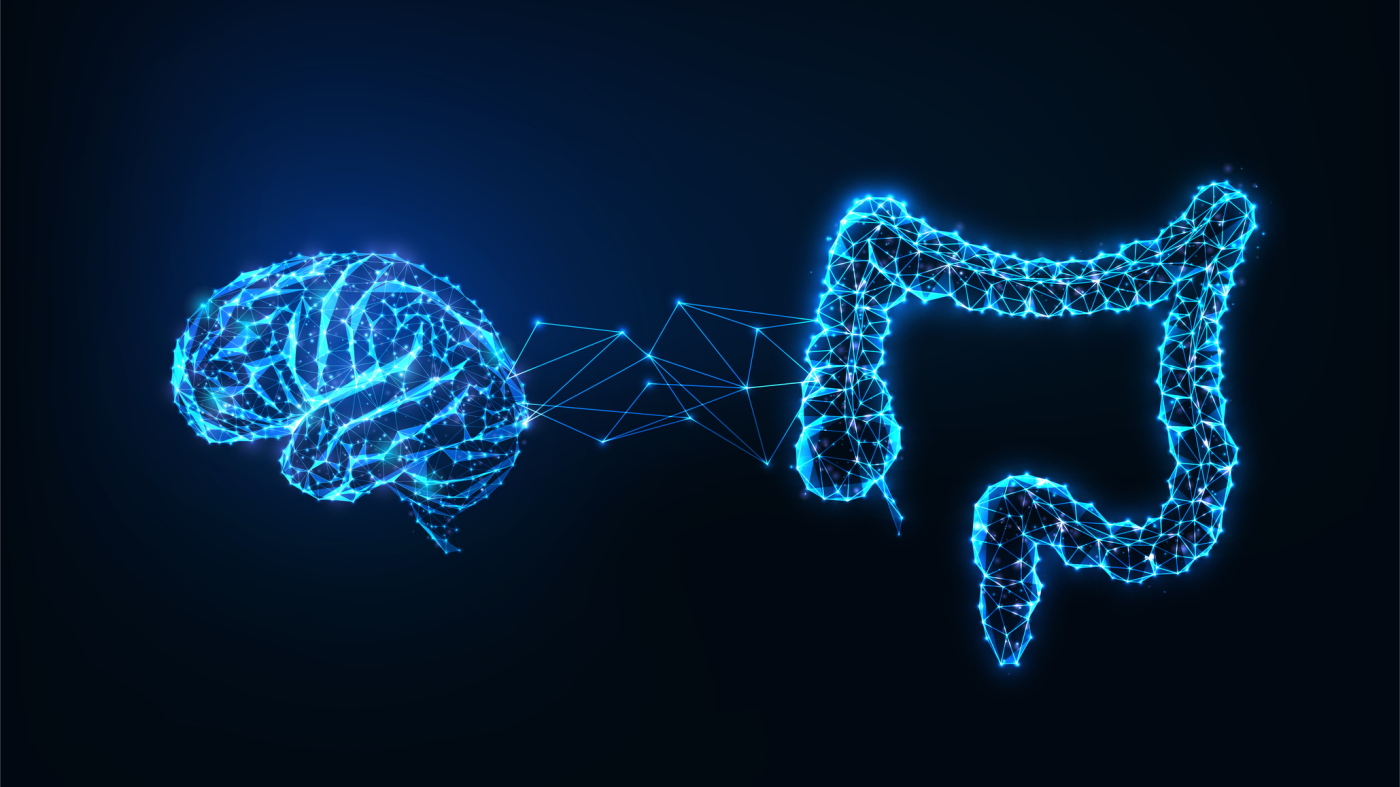 These neurons in the abdomen help form the gut-brain connection