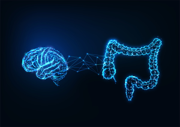 Scientists have identified two types of brain cells in the abdomen that appear to control different aspects of digestion.